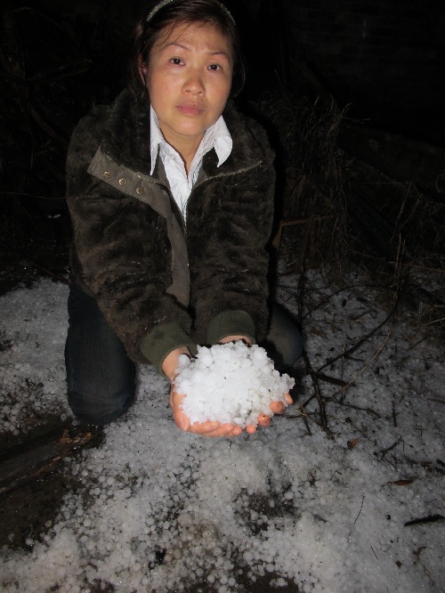 福建建瓯多个乡镇遭遇冰雹袭击_福州新闻网