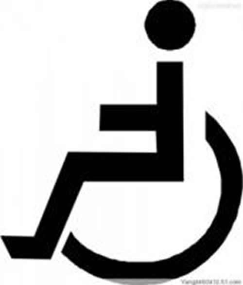 【残疾人保障法,2015】