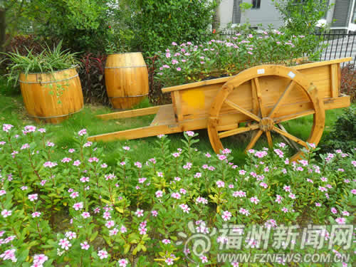 木板车+洋酒桶 榕城街头花圃创意十足_福州新
