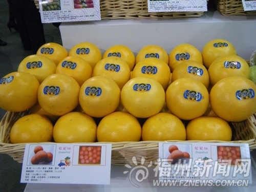 台湾产水果_福州新闻网